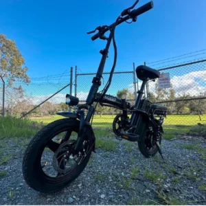 Electric bike